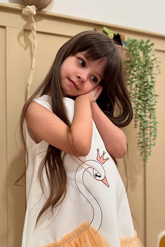 Kız Bebek Kız Çocuk Doğum Günü Parti Düğün Elbise Kolsuz Fırfırlı Tüllü Tütülü Tütü Astarlı