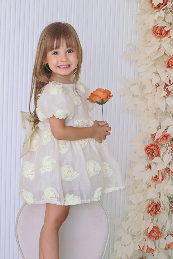 Kız Bebek Kız Çocuk Doğum Günü Parti Düğün Elbise Kısa Kol Tüllü Tütülü Tütü Astarlı