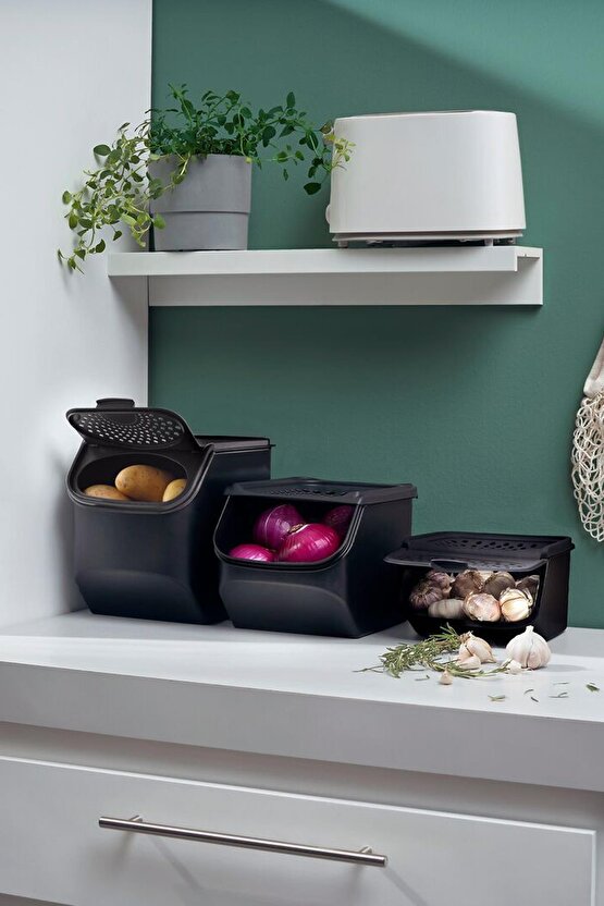 Siyah Soğan Ve Sarımsak Kuru Gıda Saklama Kabı 2.3 Lt