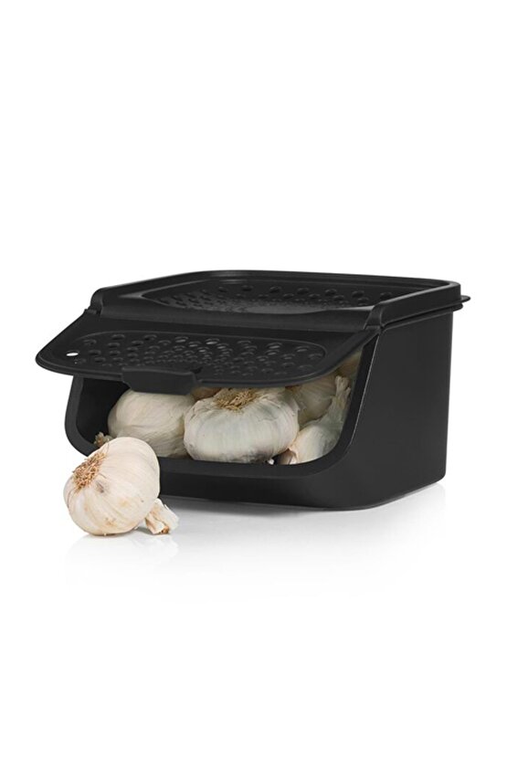 Siyah Soğan Ve Sarımsak Kuru Gıda Saklama Kabı 2.3 Lt