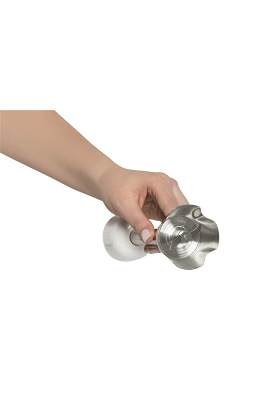 Panna 1200w Çubuk Blender Beyaz