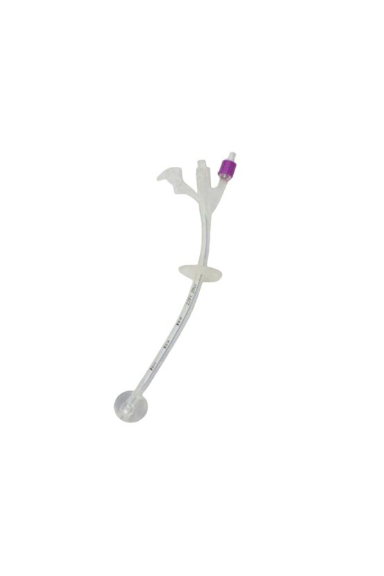 Gastrostomi Beslenme Tüpü 063806220401 No: 22 Mor