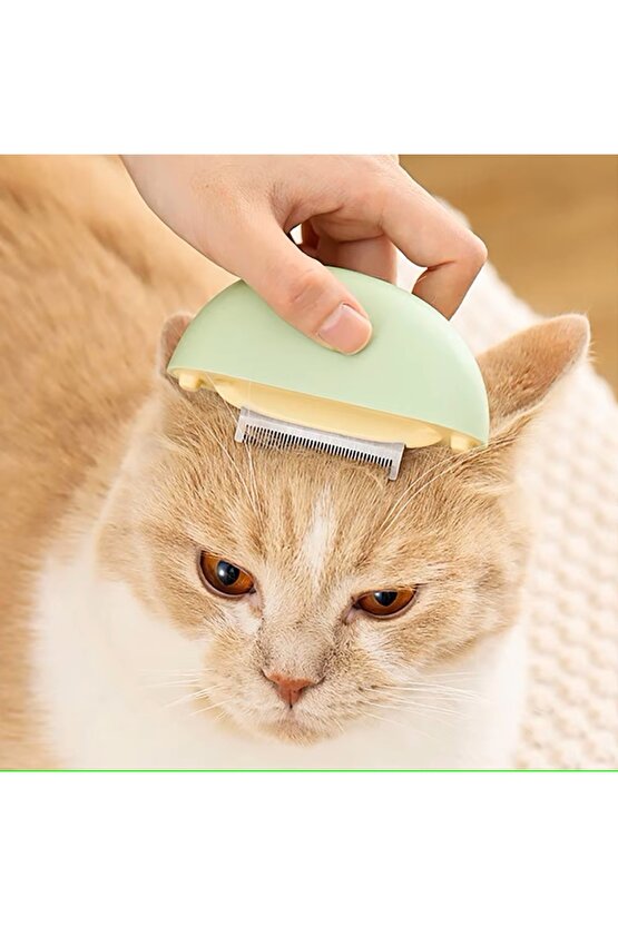 Kedi Bakım Tarağı Temizleme Fırçalı, Masaj Etkili Tüy Dökme Önleyici Tarak 3’ü 1 Arada
