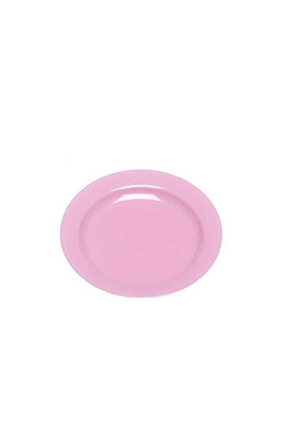 Plastik Pembe Tabak 23 cm 10 Lu