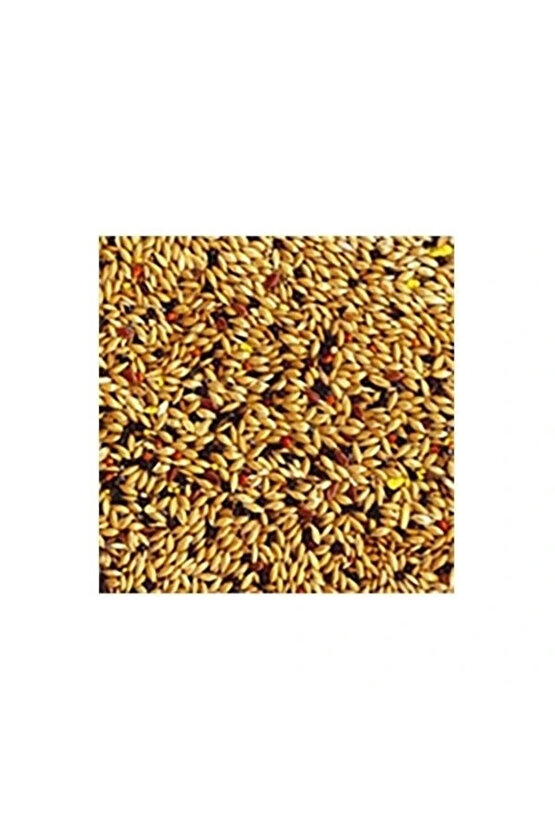 Canary Kanarya Kuş Yemi 700 Gr