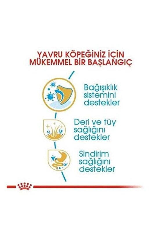 Yorkshire Terrier Junior Yavru Köpek Maması 1.5 Kg