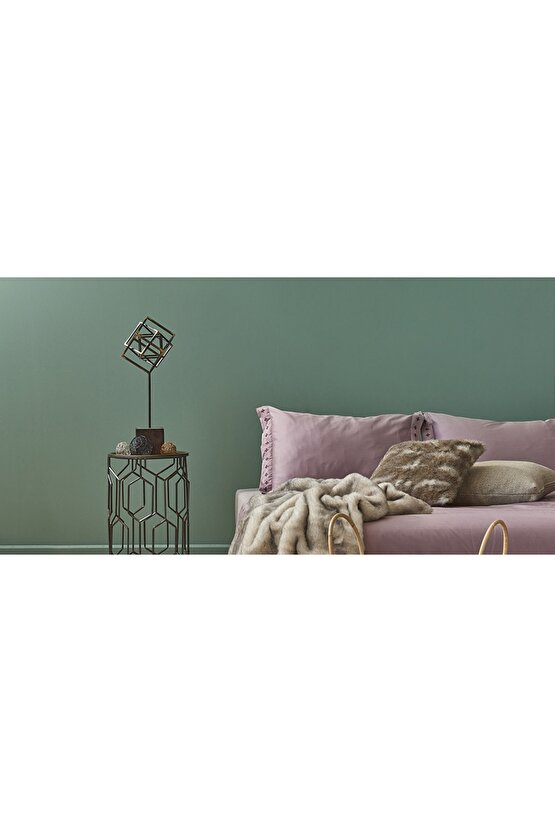 Momento Silan Silinebilir Ipeksi Mat Iç Cephe Duvar Boyası 2.5 lt Kaktüs20