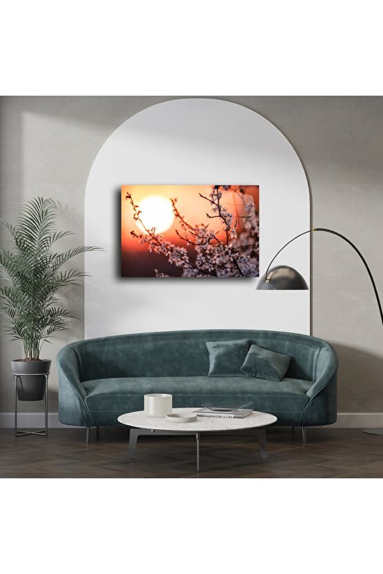 Romantik Gün Batımı Manzaralı Kiraz Çiçeği Kanvas Tablo