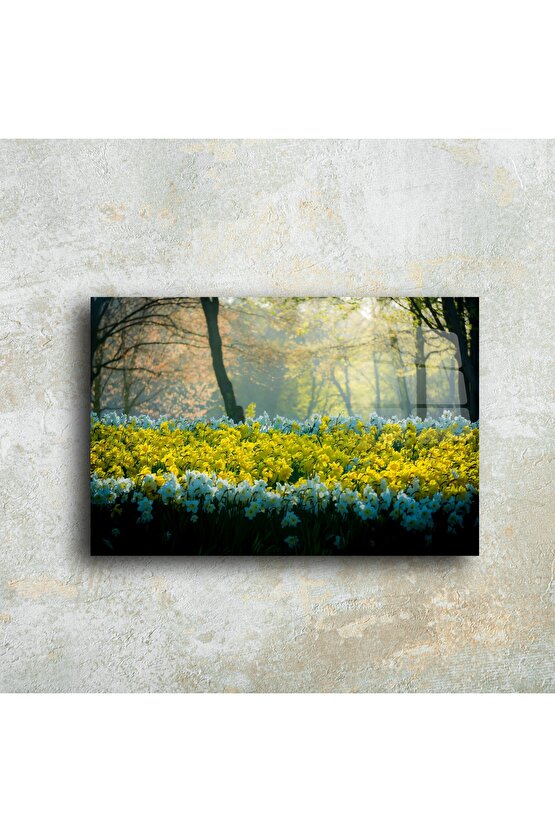 Nergis Bahçesi Cam Tablo