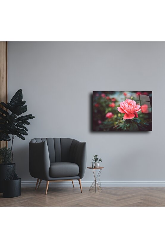 Cam Tablo Gül Çiçeği Duvar Sanatı