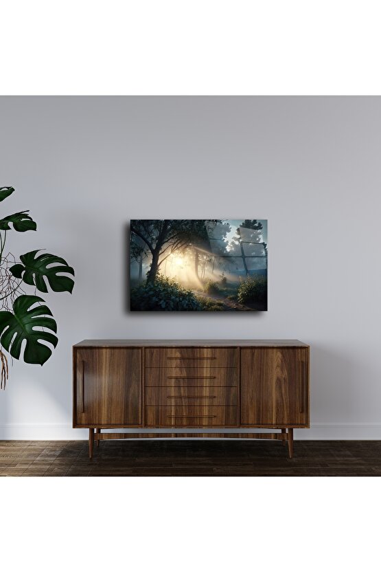 Orman Işık Patikası Cam Tablo