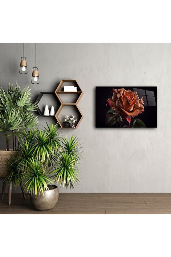 Premium Siyah Arka Plan Üzerinde Çiyli Gül Sanat Baskısı