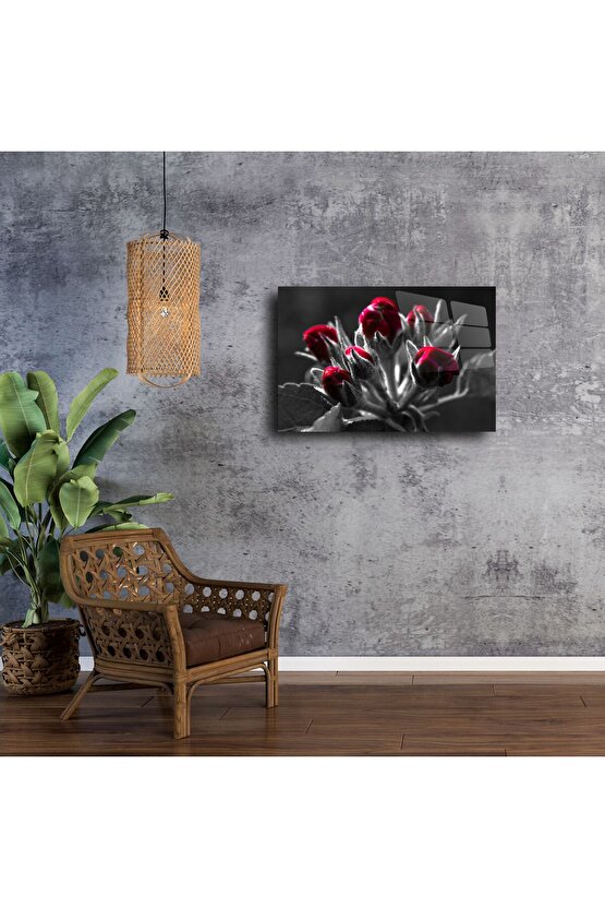 Siyah Beyaz Zemin Üzerine Kırmızı Gonca Çiçek Cam Tablo