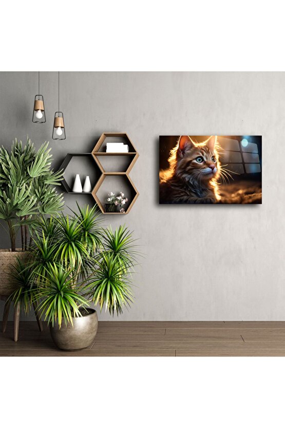 Turuncu Yavru Kedi Cam Tablo