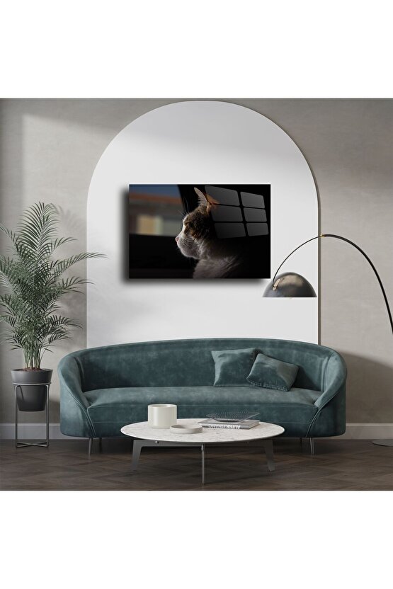 Pencereden Bakan Kedi Cam Tablo