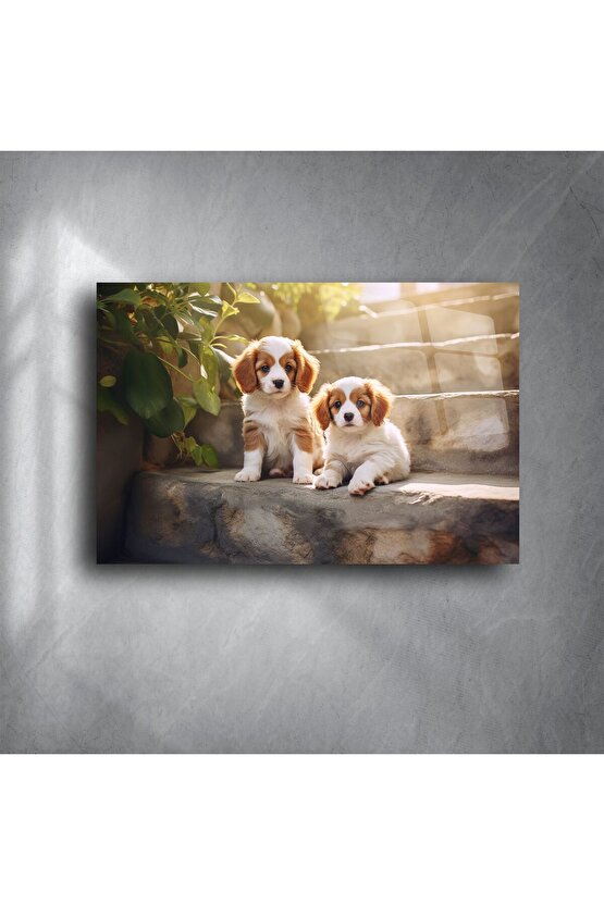 Parlak Akrilik Duvar Sanatı