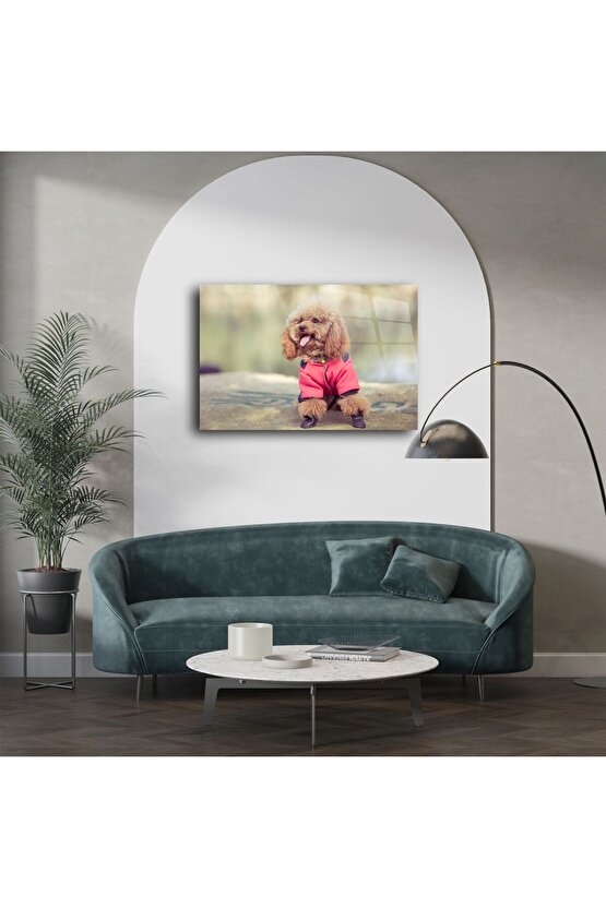Sevimli Kahverengi Poodle Duvar Sanatı
