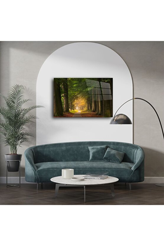 Sisli Orman Yolu Kanvas Tablo