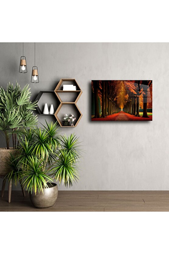 Kırmızı Yapraklı Ağaç Tüneli Cam Tablo