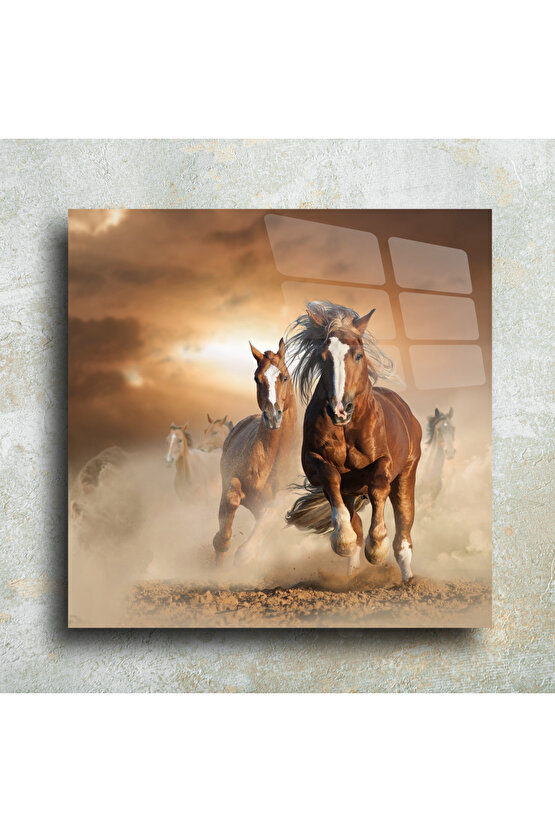 At Temalı Cam Tablo Duvar Dekoru 3