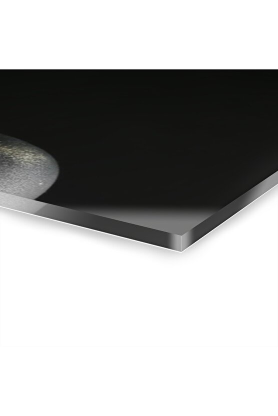 Kadın Model Cam Tablo Duvar Dekoru 5