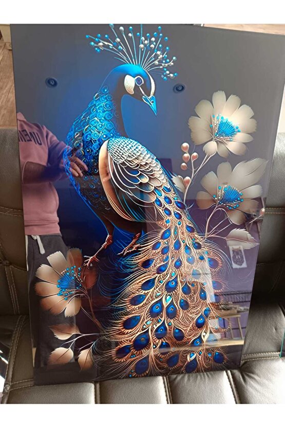 Tavus Kuşu Cam Tablo Duvar Dekoru 2