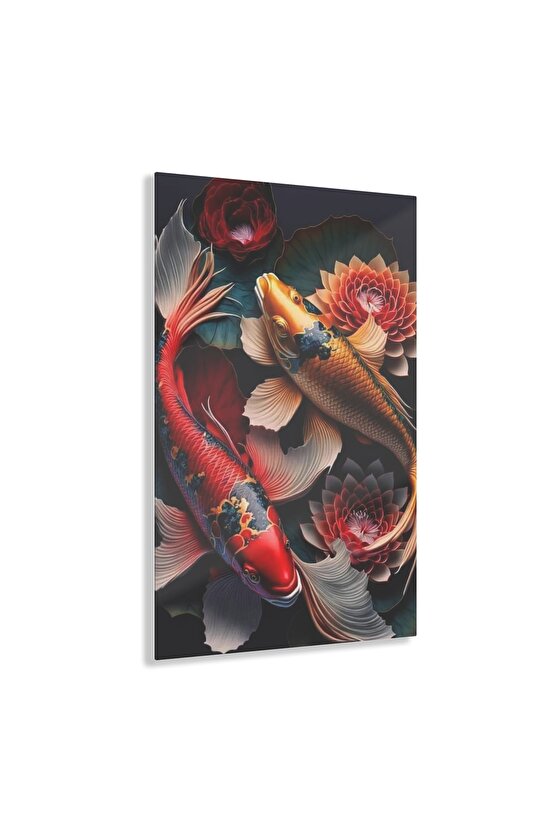 Renkli Iki Balık Cam Tablo Duvar Dekoru