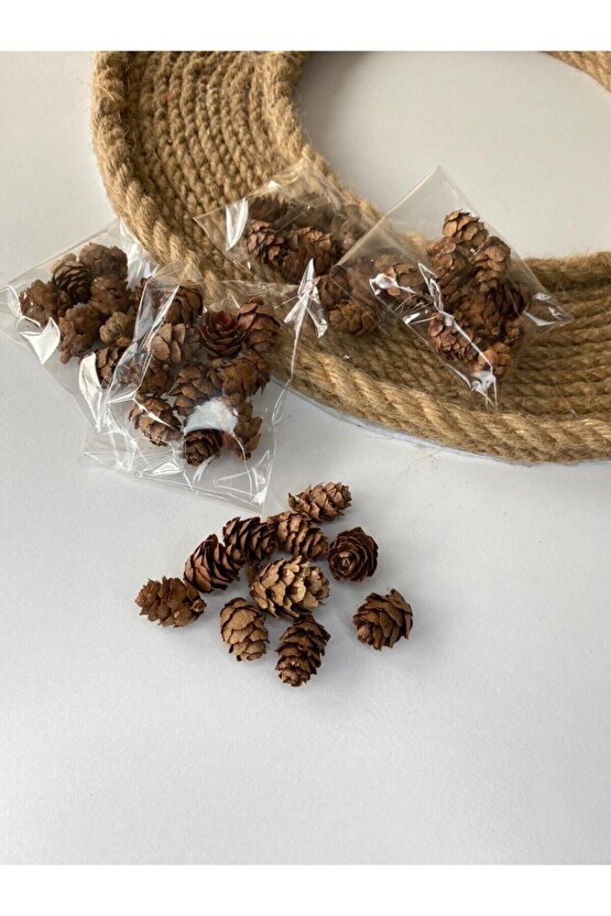 50 Adet Mini Kozalak Yılbaşı Sofra Çam Ağacı Süsü Kapı Süsü