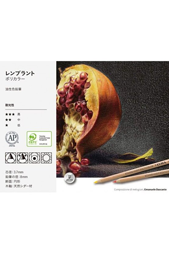 Rembrandt Polycolor 72li Kuru Boya