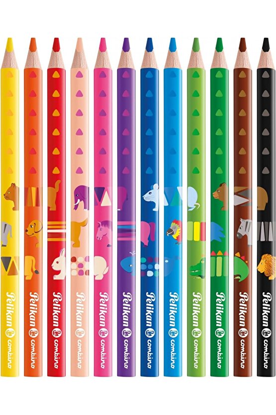 Combino 12li Jumbo Kuru Boya Kalemi  811194