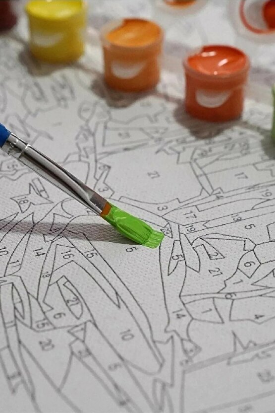 Sayılarla Boyama Kasnaklı Tablo Seti Fırça Boya Dahil 40x50 Devekuşu