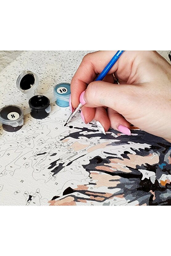 Sayılarla Boyama Kasnaklı Tablo Seti Fırça Boya Dahil 40x50 Nehir