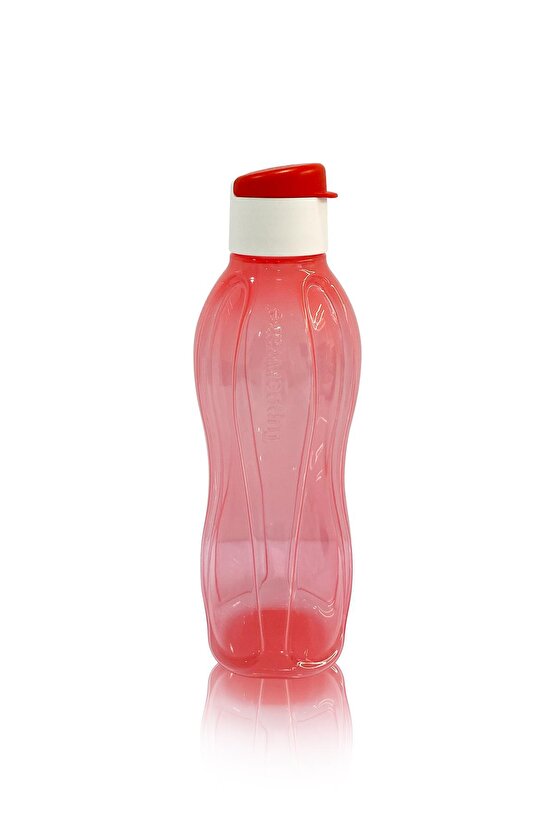 Eco Şişe Suluk & Matara Kolay Kapak Kor Pırıltı 750ml