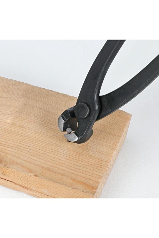 WP231123 250mm CR-V Profesyonel Betoncu Kerpeteni