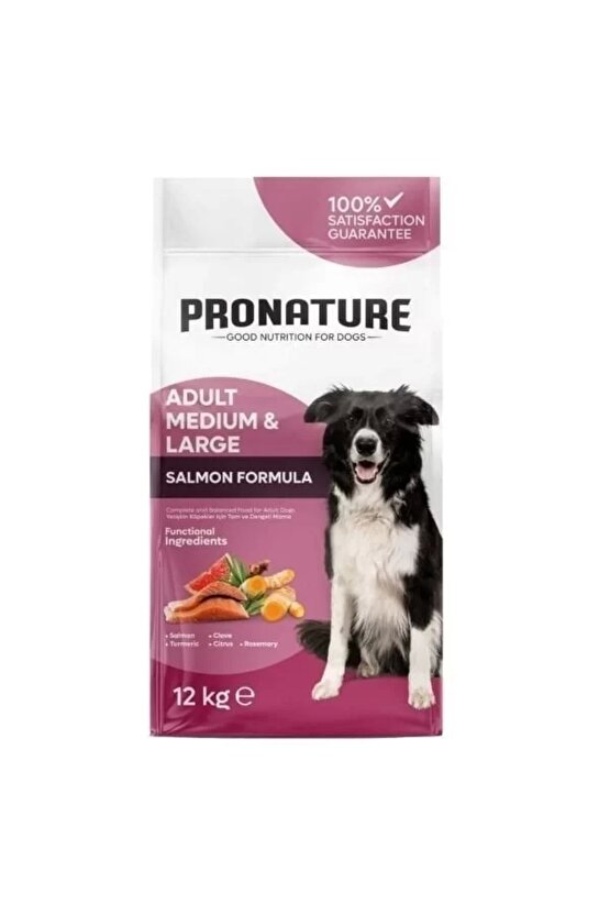 Derma Shine Somonlu Yetişkin Köpek Maması 12 Kg
