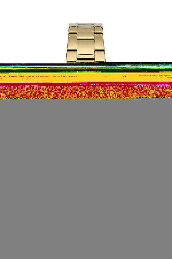 DK.1.13699-2 Fiord Kadın Kol Saati