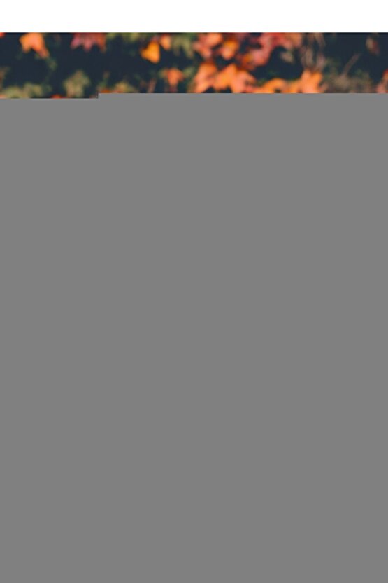 Sonic Medikal Set Tır - Doktor Seti - Doktor Oyuncakları - Acil Yardım Oyuncakları - Hemşire Oyuncak