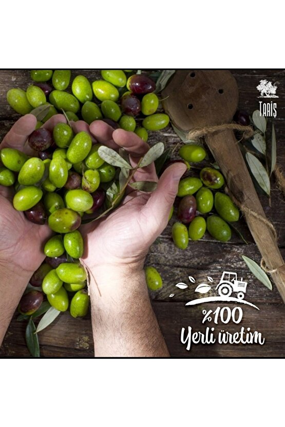 Güney Ege Bölgesi Naturel Sızma Zeytinyağı 5 Lt. Teneke