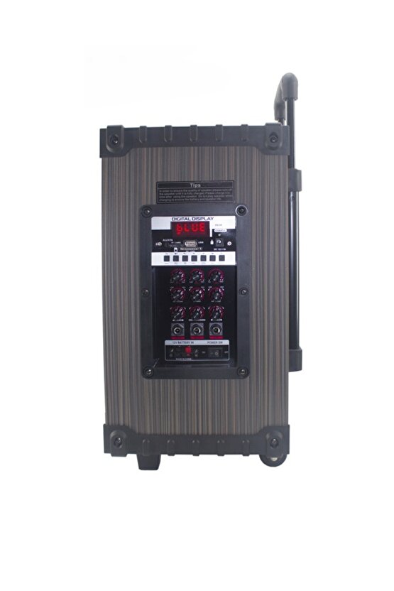 Kablosuz Mikrofonlu Bluetooth Hoparlör Led Işıklı Fm Radyo Sd Kart Usb Girişli Speaker