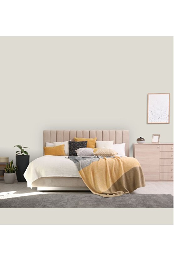 Momento Max Tam Silinebilir Ve Yıkanabilir Silikonlu Iç Cephe Boyası