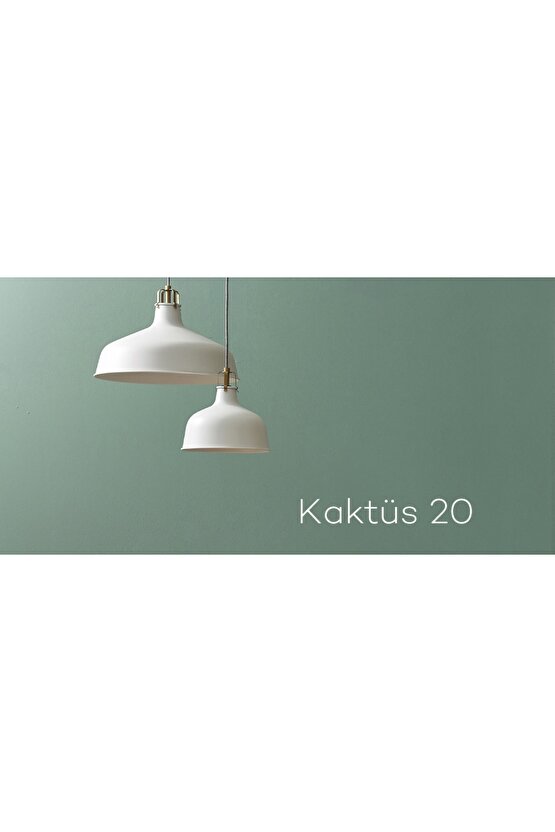 Momento Silan Silinebilir Ipeksi Mat Iç Cephe Duvar Boyası 2.5 lt Kaktüs20