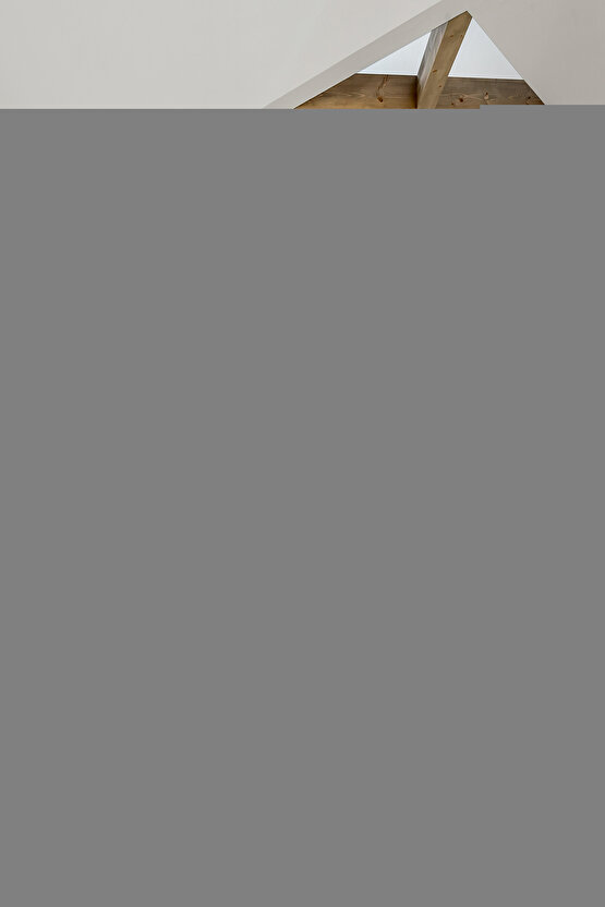 Kadın Zebra Baskılı Omuz Askılı Sırt Dekolteli Yırtmaç Detay Elbise