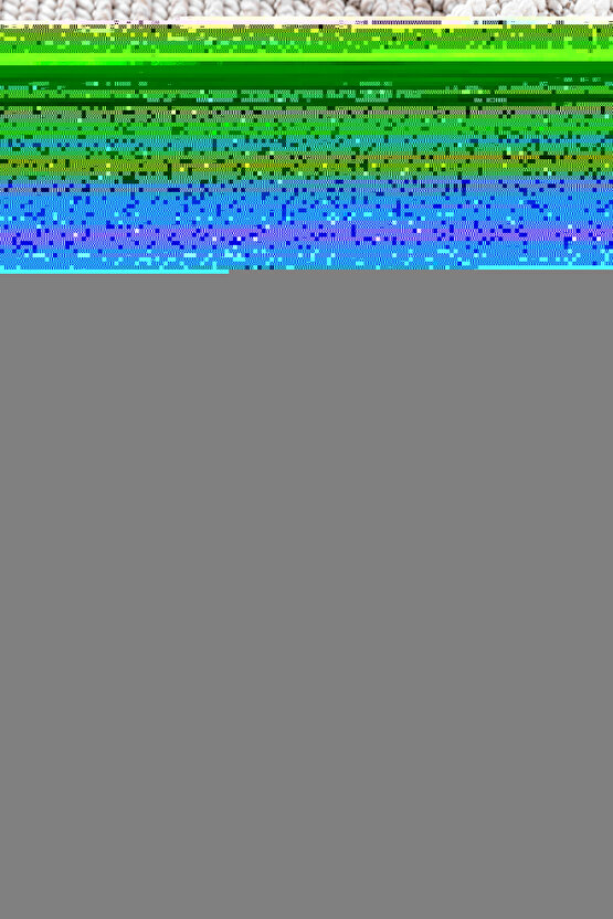 Erkek Oduncu Gömlek – Uzun Kollu, Şardonlu Kumaş, Kareli Desen, Regular Fit, Manşetli, Çift Cepli, R