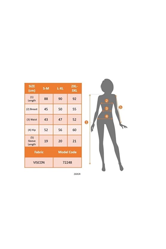 MDB Kadın Kısa Kollu V Yakalı Etnik Desen şerit Detaylı Viskon Elbise