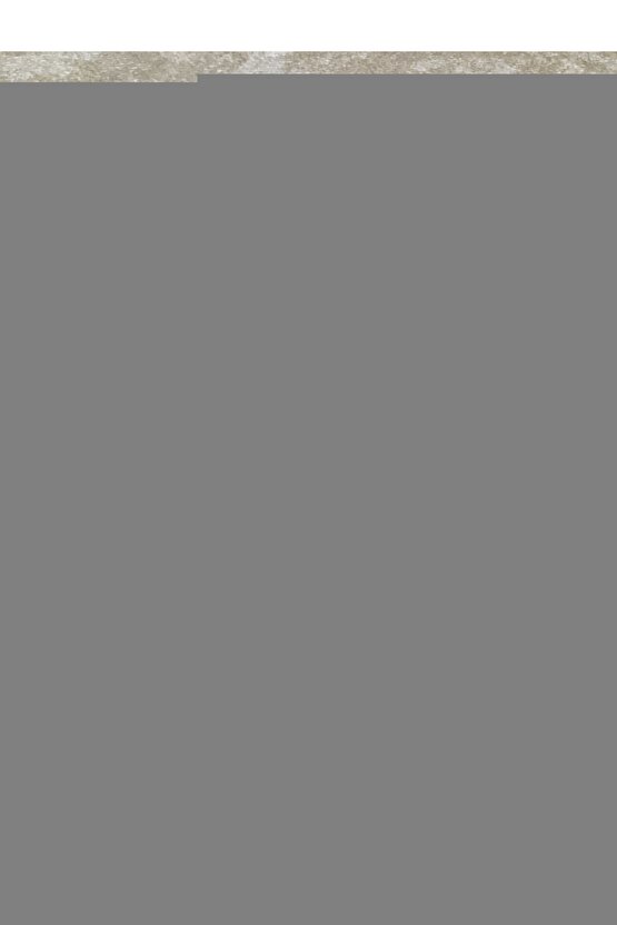 eyesof Unisex Bisiklet Yaka Baskılı Double Oversize T-Shirt - Beyaz