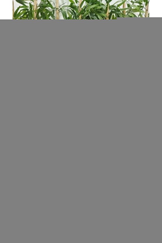 Aleti Üst Koldan Ölçer Hafızalı Bm 40 Alman MalıBm40 Dijital Tansiyon