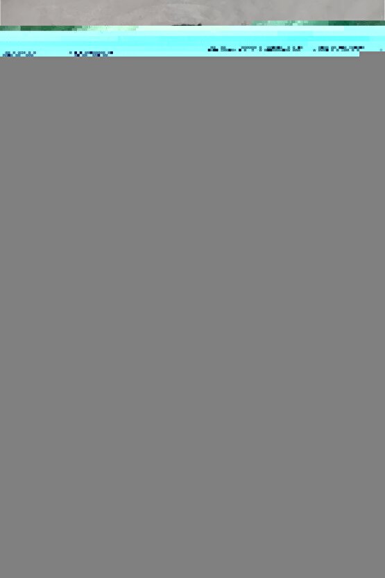 Unisex Oversize Baskılı Bisiklet Yaka T-Shirt - Beyaz