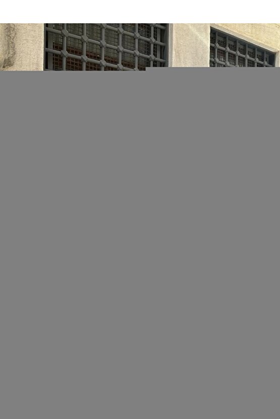 W916 İki Tekerlekli Yürüteç Hareketli Walker