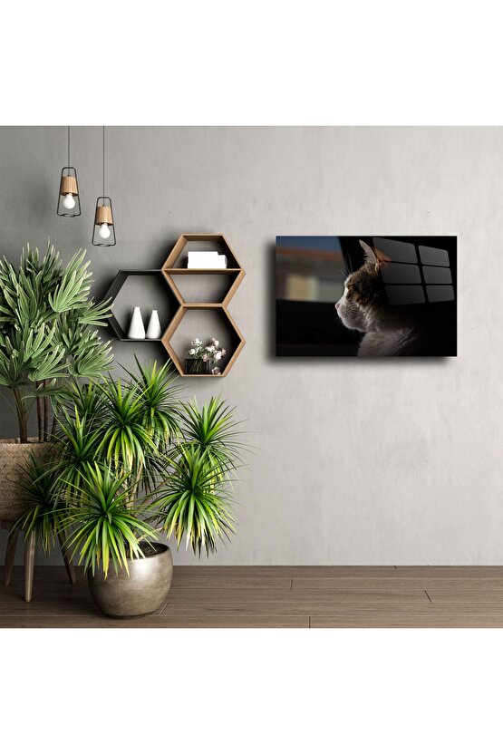 Pencereden Bakan Kedi Cam Tablo