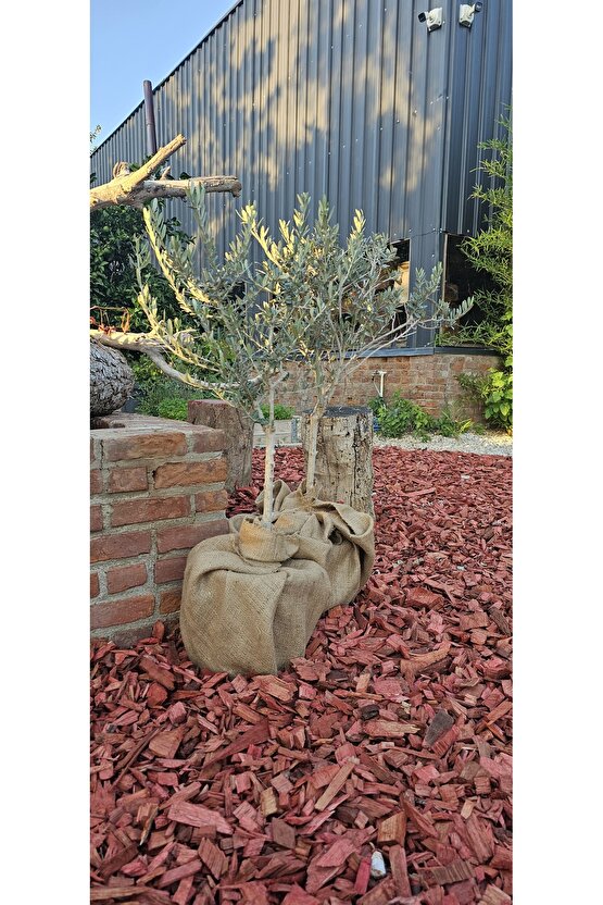 Mavi Renkli Malç 40 Litre 25-65 mm Renkli Ağaç Kabuğu Renkli Ağaç Yonga Bahçe Dekor Peyzaj Mulch